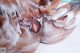 A close up of a woman's face covered in foam.